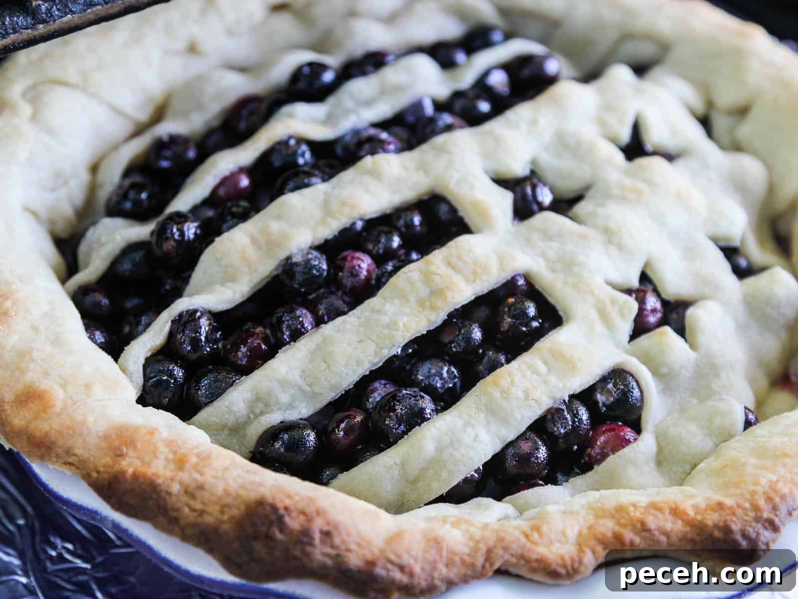 Outdoor Baked Blueberry Pie: Rustic Campfire Recipe 8 Finished blueberry pie