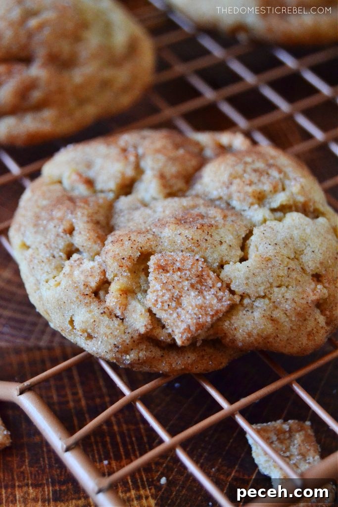 Closeup of cinnamon toast crunch cookie on wire rack