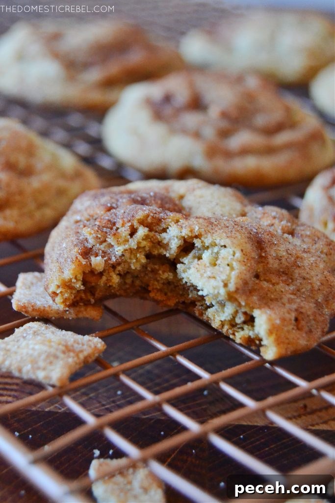 Cinnamon toast crunch cookie with bite missing