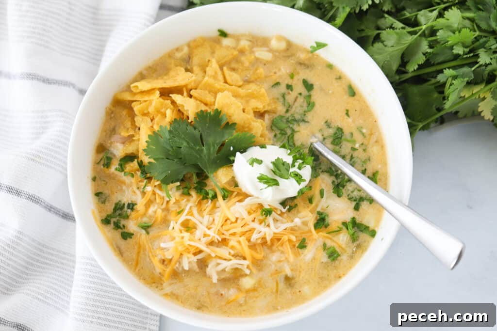 Creamy Green Chile Chicken Enchilada Soup Recipe 3 The top view of a white bowl full of soup and topped with tortilla strips, sour cream, cheese and cilantro.