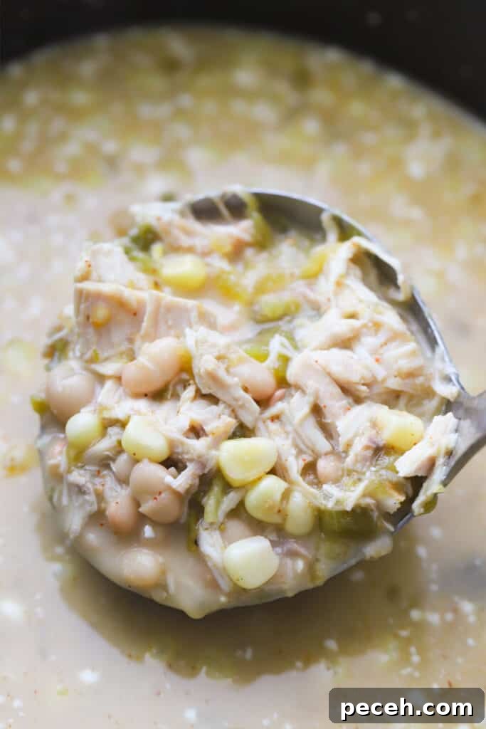 Creamy Green Chile Chicken Enchilada Soup Recipe 4 A ladle full of green chile chicken enchilada soup.