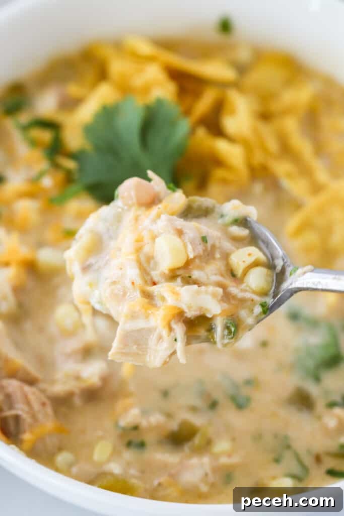 Creamy Green Chile Chicken Enchilada Soup Recipe 5 A spoon full of chicken enchilada soup with a large bowl of soup behind.