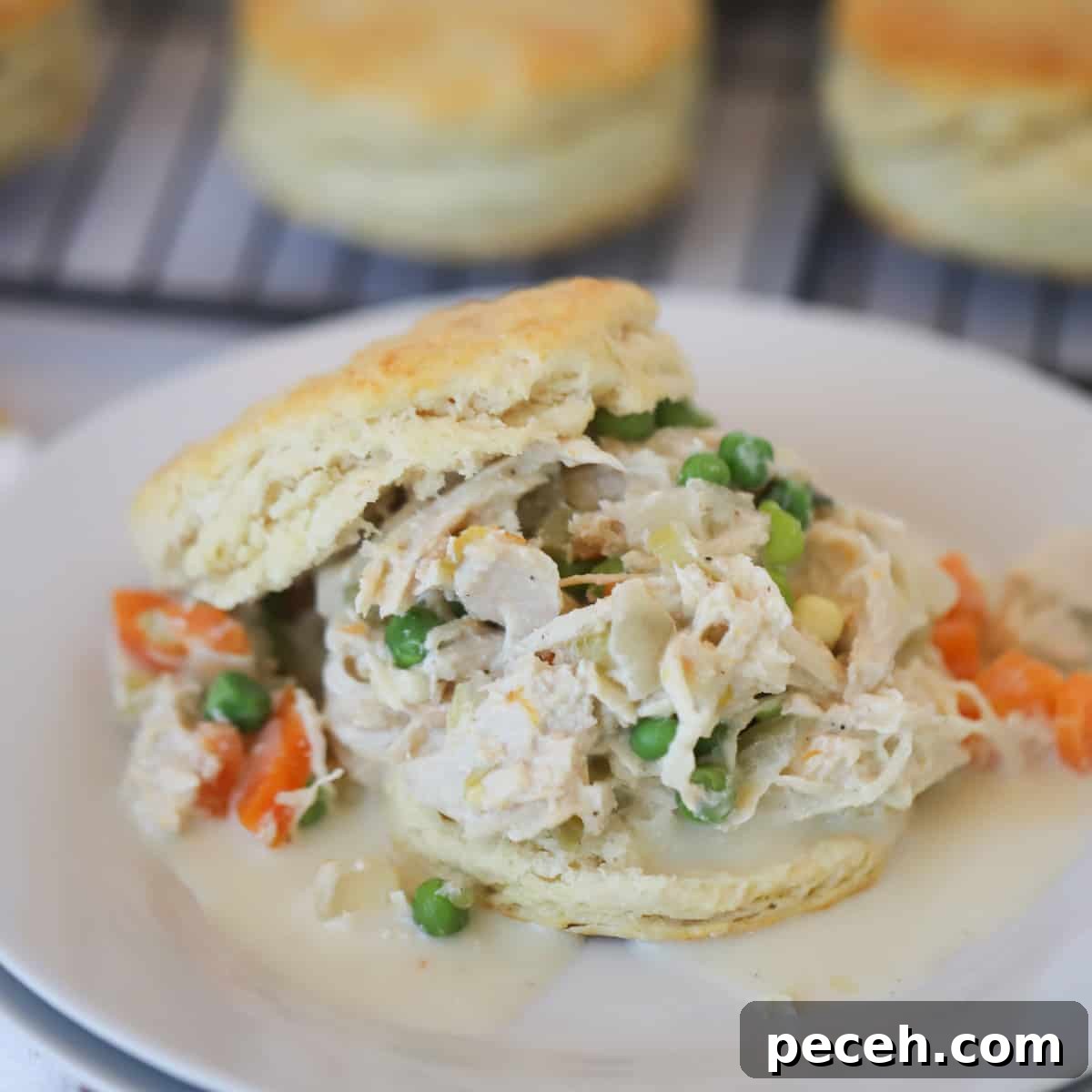 Creamy Green Chile Chicken Enchilada Soup Recipe 6 Crockpot Chicken Pot Pie