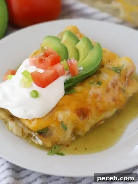 Creamy Green Chile Chicken Enchilada Soup Recipe 7 Green Chile Chicken Enchiladas