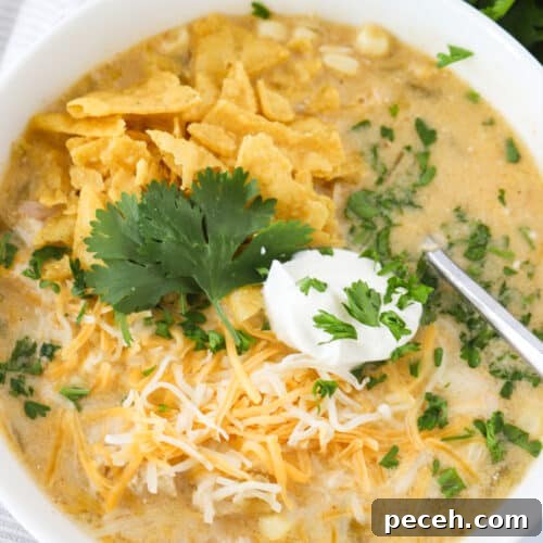 Creamy Green Chile Chicken Enchilada Soup Recipe 10 Green Enchilada Chicken Soup