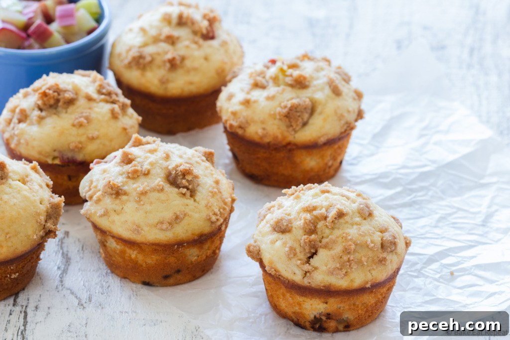Tangy Rhubarb Muffins with Streusel Crumble 2 rhubarb muffins with brown sugar streusel topping
