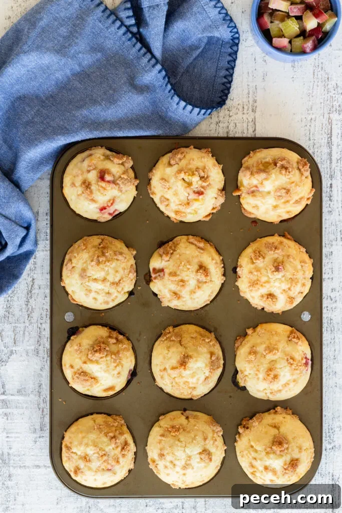 Tangy Rhubarb Muffins with Streusel Crumble 7 rhubarb muffins