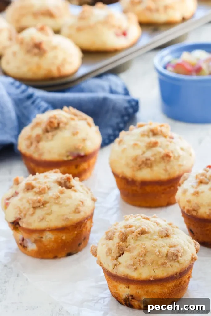 Tangy Rhubarb Muffins with Streusel Crumble 3 easy rhubarb streusel muffins