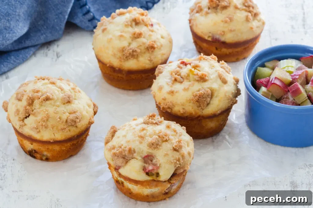 Tangy Rhubarb Muffins with Streusel Crumble 5 rhubarb muffins with brown sugar streusel topping