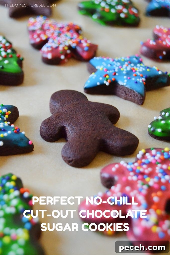 No-Chill Chocolate Cut-Out Sugar Cookies — Crispy, Ready Fast 2 an arrangement of frosted and unfrosted chocolate sugar cookies on brown parchment