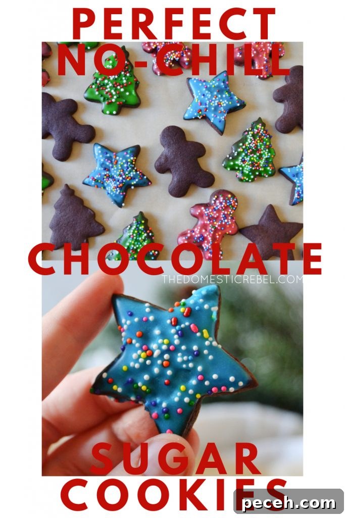 No-Chill Chocolate Cut-Out Sugar Cookies — Crispy, Ready Fast 11 perfect no-chill chocolate sugar cookies photo collage