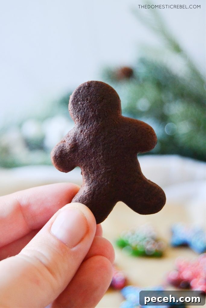 No-Chill Chocolate Cut-Out Sugar Cookies — Crispy, Ready Fast 5 author holding a chocolate cut-out gingerbread cookie