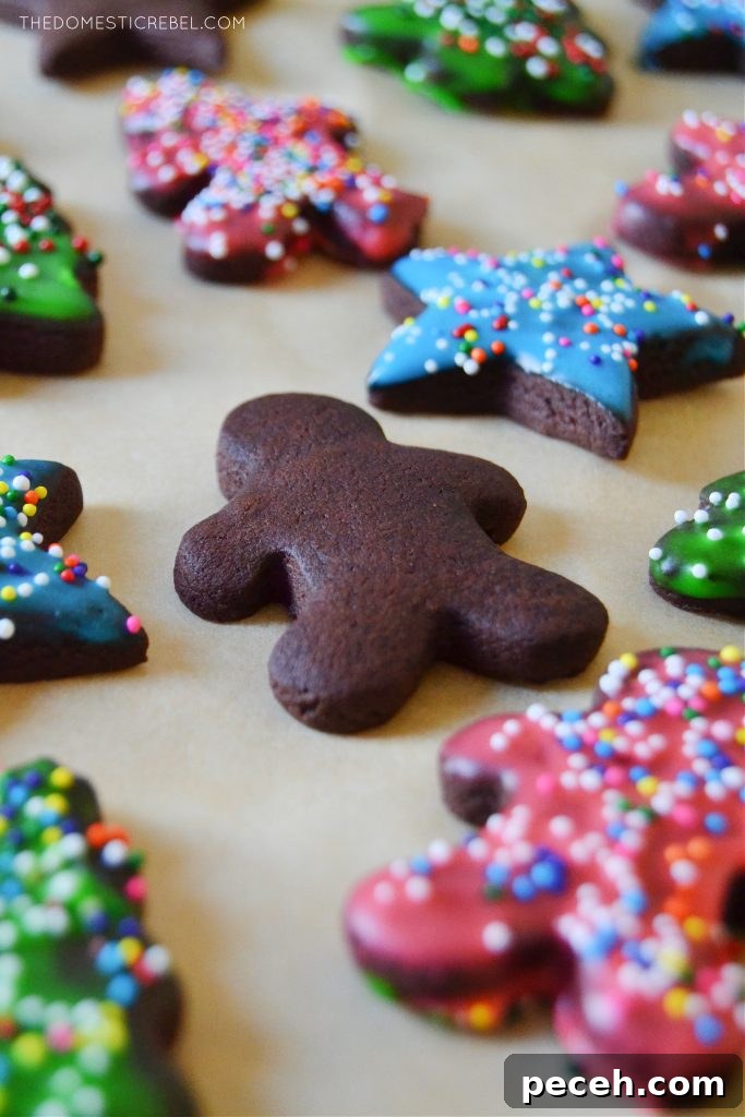 No-Chill Chocolate Cut-Out Sugar Cookies — Crispy, Ready Fast 8 an assortment of chocolate sugar cookies on a piece of parchment