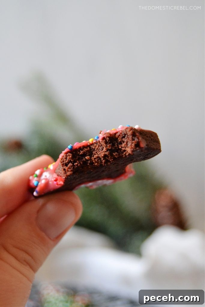 No-Chill Chocolate Cut-Out Sugar Cookies — Crispy, Ready Fast 10 author holding a bitten chocolate sugar cookie