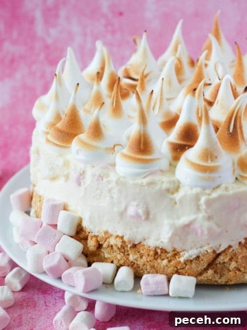 Marshmallow tart on a white plate with peaks of piped marshmallow fluff on top