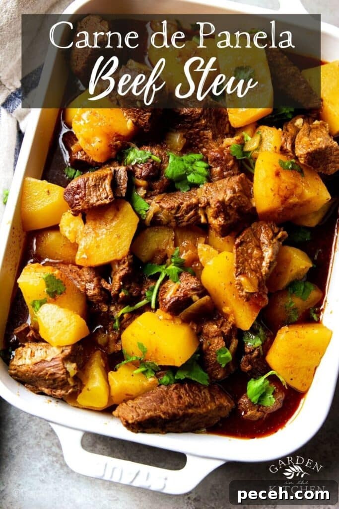 Carne de Panela (Brazilian Stew Beef) — Authentic Recipe and Tips 6 Carne de Panela pin