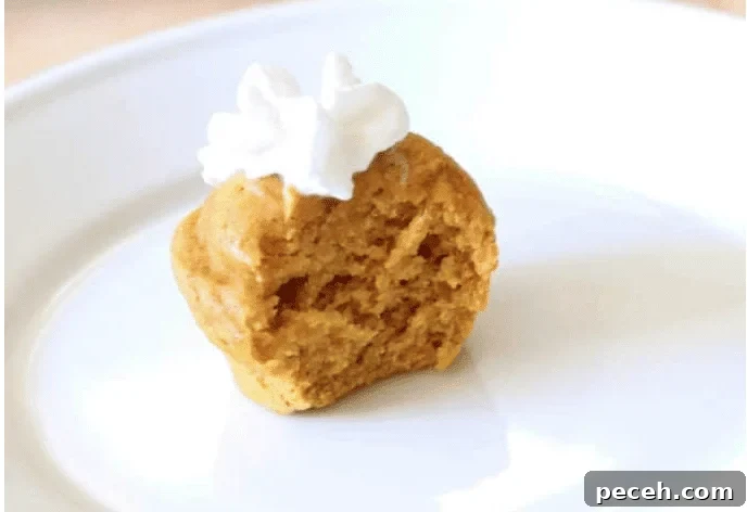 easy pumpkin muffin recipe mini pumpkin muffins on a plate
