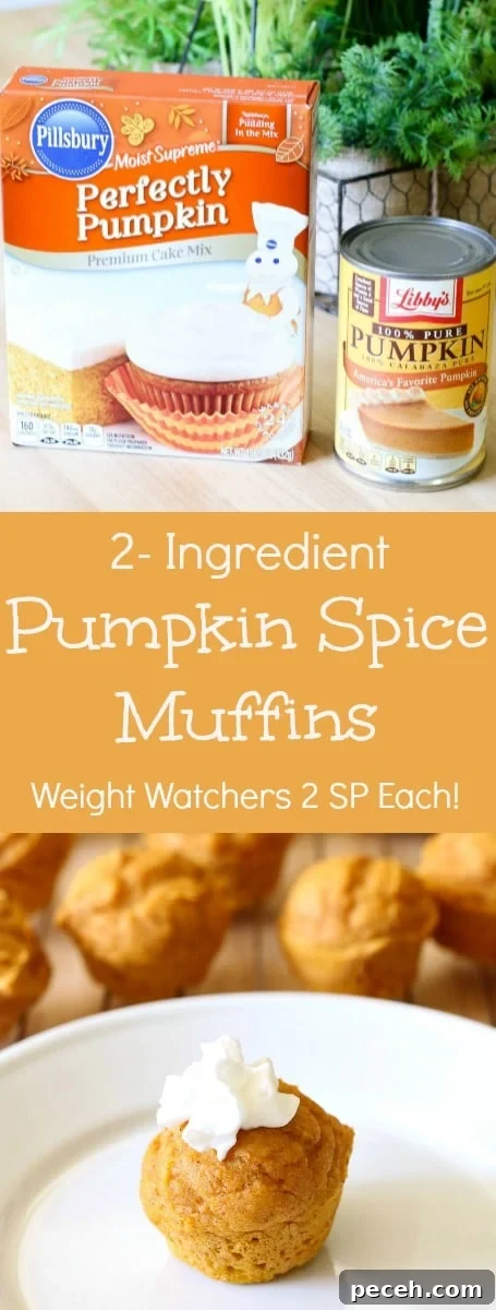 2-Ingredient Pumpkin Spice Muffins Recipe 6 YUM! These 2-Ingredient Pumpkin Muffins are amazing!! AND only 2 Weight Watchers Smart Points each!