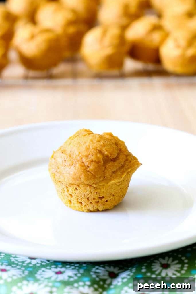 how to make pumpkin muffins pumpkin muffin on white plate