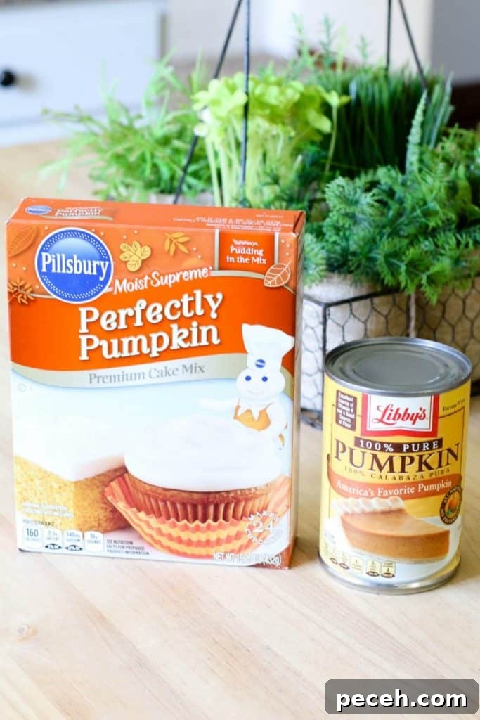 cake mix and pumpkin for pumpkin muffins box of pumpkin cake mix