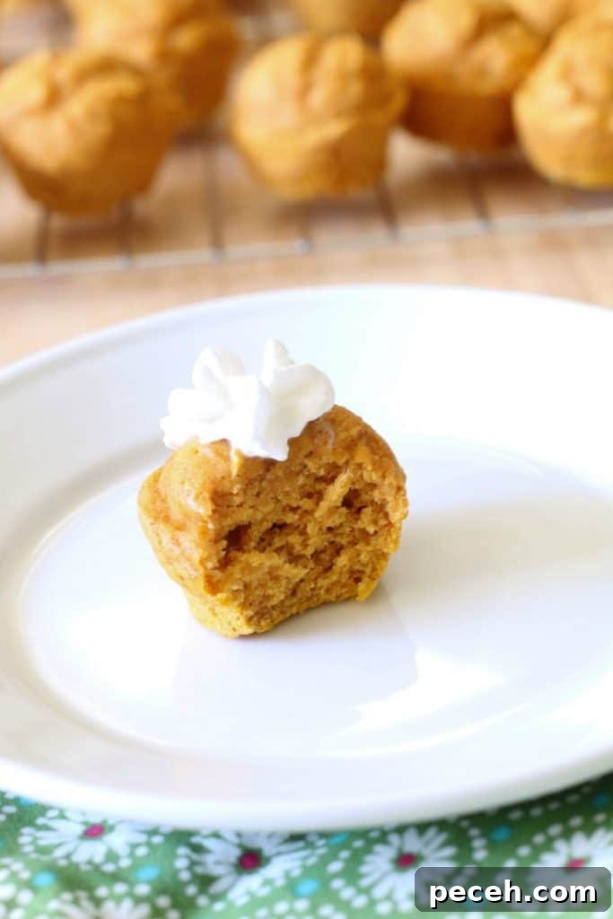 whipped cream and pumpkin muffins pumpkin spice muffins topped with whipped cream