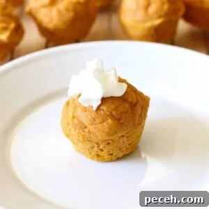 2-Ingredient Pumpkin Spice Muffins Recipe 2 YUM! These 2-Ingredient Pumpkin Muffins are amazing!!