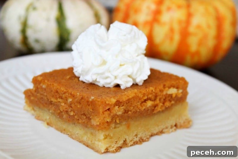2-Ingredient Pumpkin Spice Muffins Recipe 4 Pumpkin Gooey Butter Cake is a MUST-HAVE!