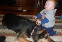 Life in a Family of Six: Tips for Big-Home Living and Harmony