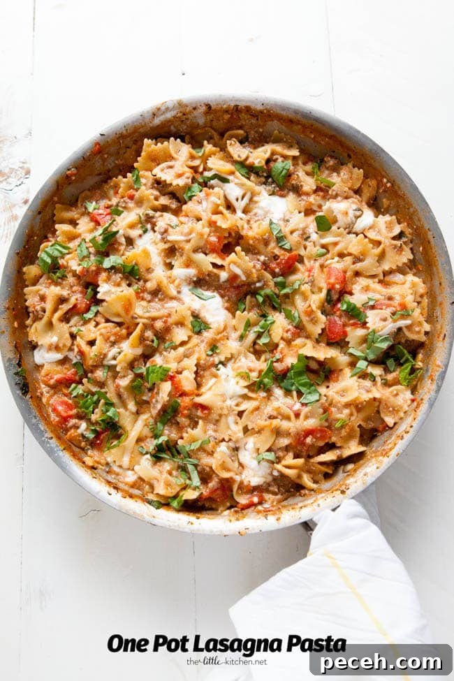One Pot Lasagna Pasta from thelittlekitchen.net