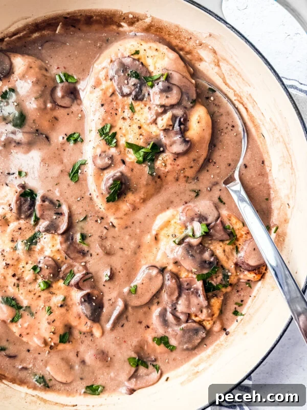 Classic Chicken Piccata Recipe with Lemon & Capers 10 Pan with chicken in creamy mushroom sauce.