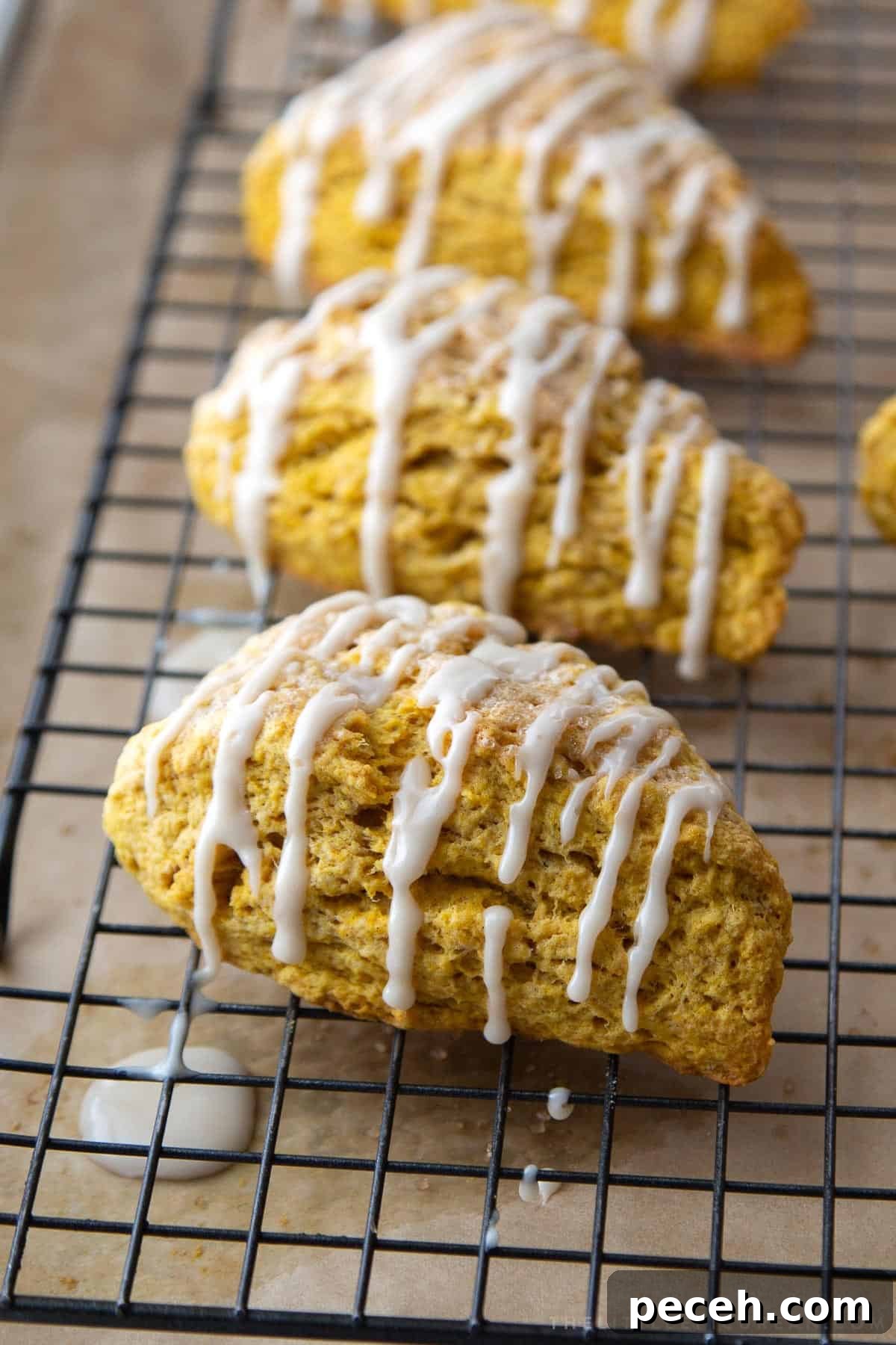 Maple-Glazed Pumpkin Scones Recipe for Fall Baking 14 maple glazed pumpkin scones on black wire rack.