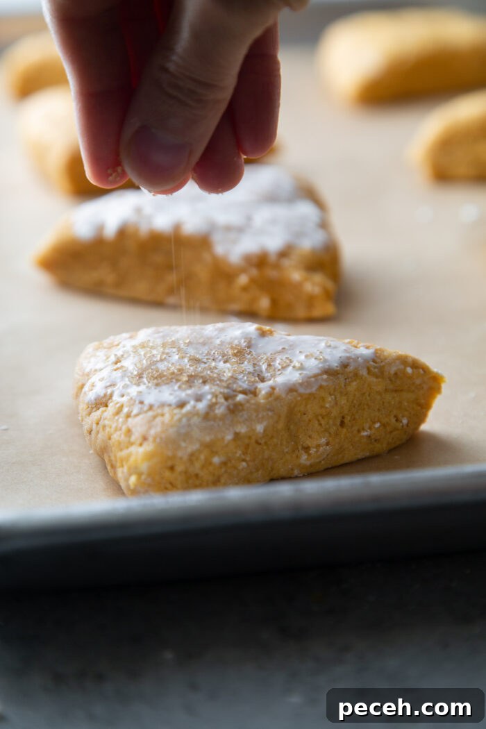 Maple-Glazed Pumpkin Scones Recipe for Fall Baking 10 sprinkle turbinado sugar over cream topped pumpkin scones.