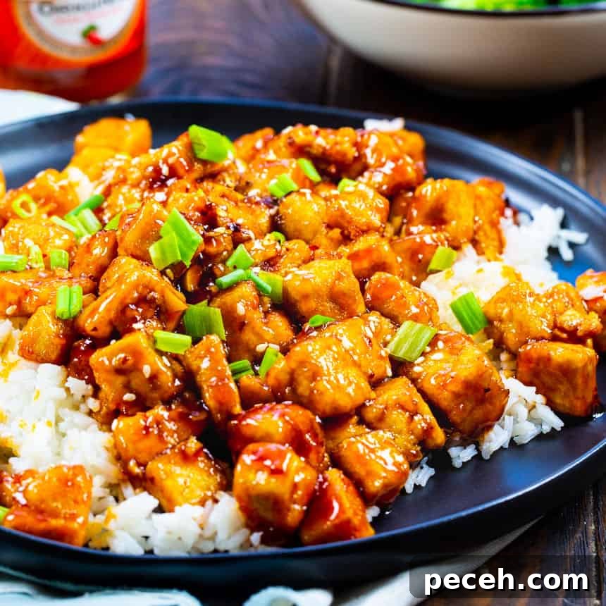 Tofu over rice on a black plate.
