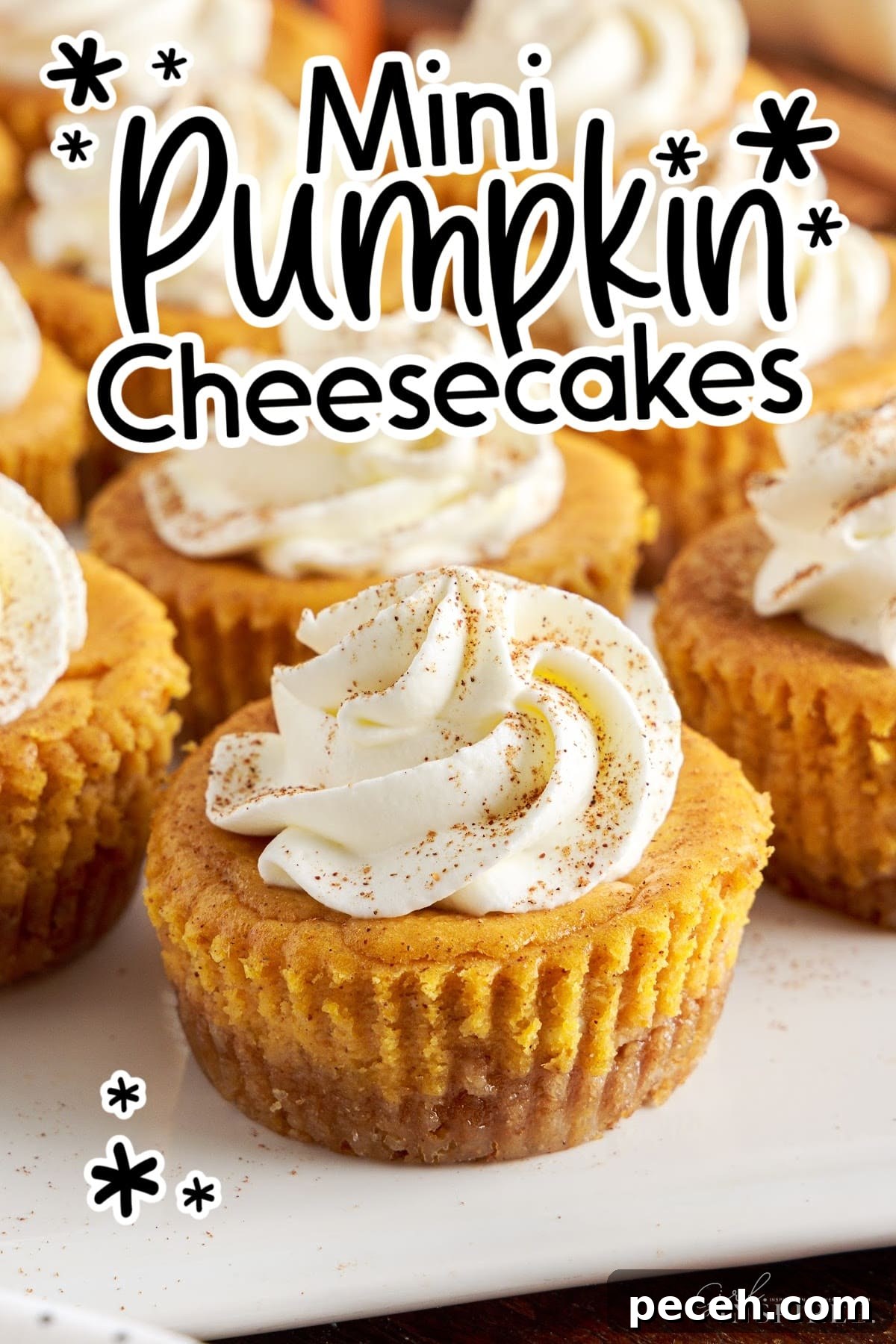 Mini pumpkin cheesecakes on white serving platter, topped with whipped cream, and text title.