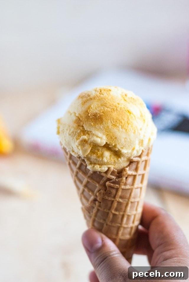 Orange Creamsicle Ice Cream with Rum — Adult Dessert Recipe 5 boozy orange creamsicle ice cream