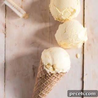 Orange tequilla ice cream
