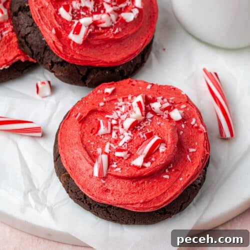 Double chocolate cookie topped with peppermint frosting and candy cane pieces.