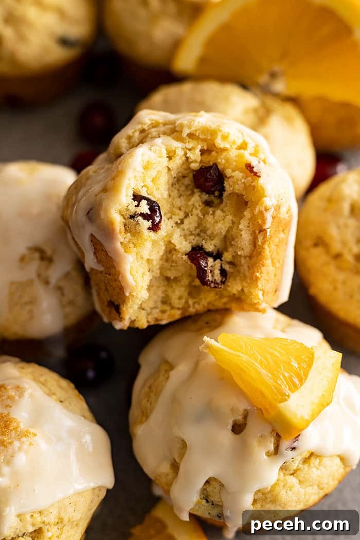Cranberry Orange Muffins with Zesty Citrus Glaze 6 Muffin with a bite taken out. Can see the cranberries in the middle.