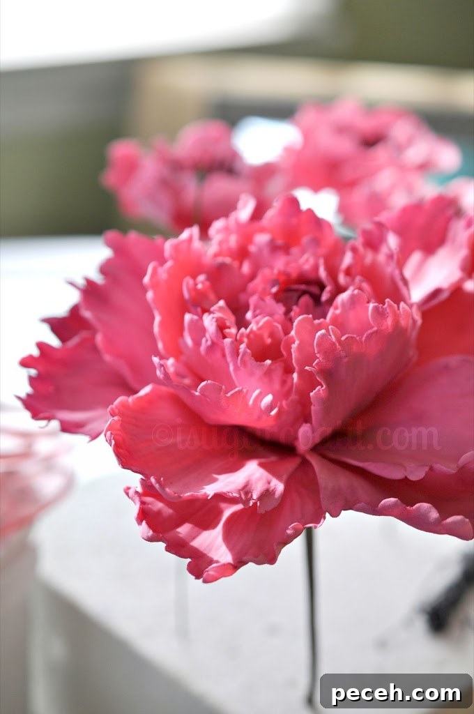 Princess Peony - I Sugar Coat It