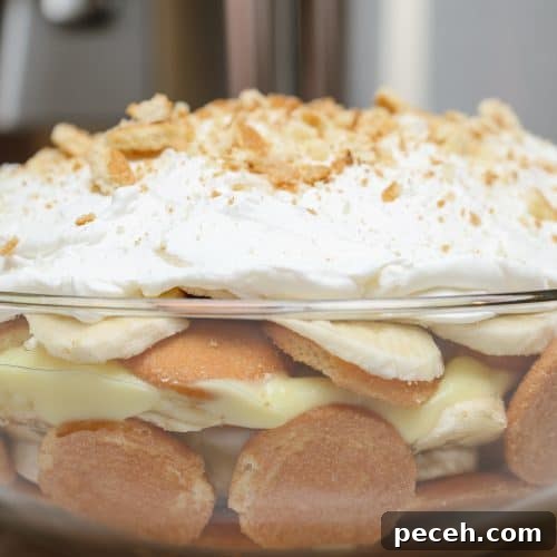 Southern Soul Food Christmas Desserts: Classic Holiday Sweets Guide 13 Black Southern Banana Pudding