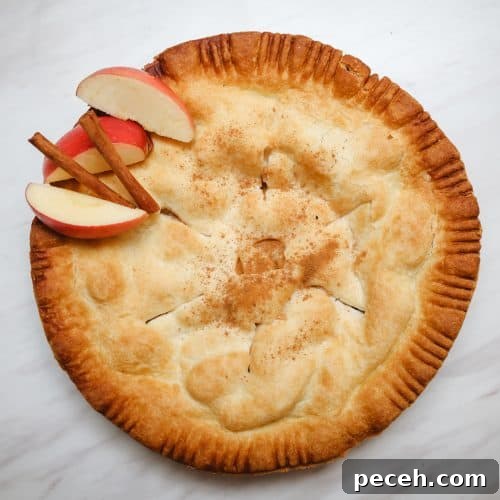 Southern Soul Food Christmas Desserts: Classic Holiday Sweets Guide 8 Soul Food Apple Pie Recipe