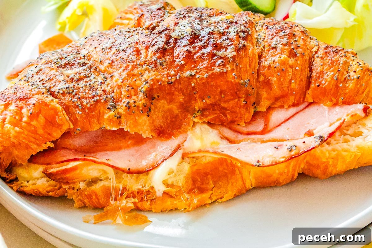 A baked ham and cheese croissant on a white plate.