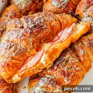 The finished baked ham and cheese croissants in a baking dish.