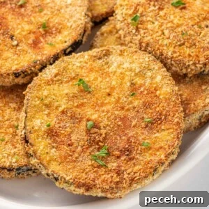 Crispy Air-Fried Eggplant Slices: Quick Restaurant-Style Recipe 10 Close up of breaded crispy eggplant on a plate.
