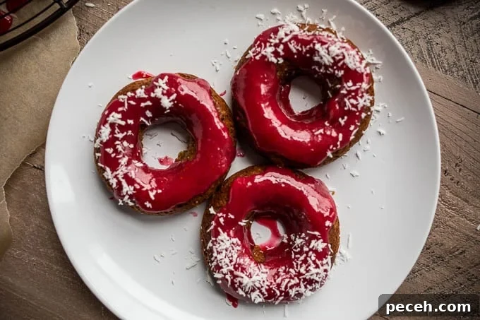 Gingerbread Cake Donuts with Cranberry Glaze (gluten-free, vegan) | saltedplains.com