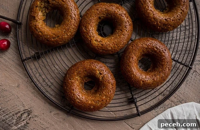 Gingerbread Donuts with Cranberry Glaze Recipe 4 Gingerbread Cake Donuts with Cranberry Glaze (gluten-free, vegan) | saltedplains.com