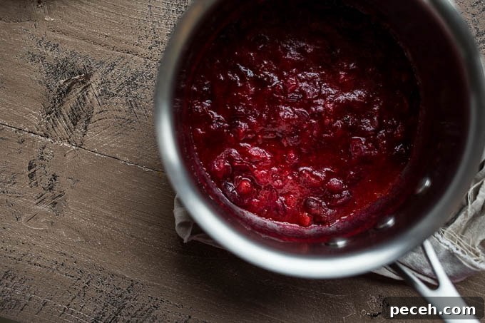 Gingerbread Cake Donuts with Cranberry Glaze (gluten-free, vegan) | saltedplains.com