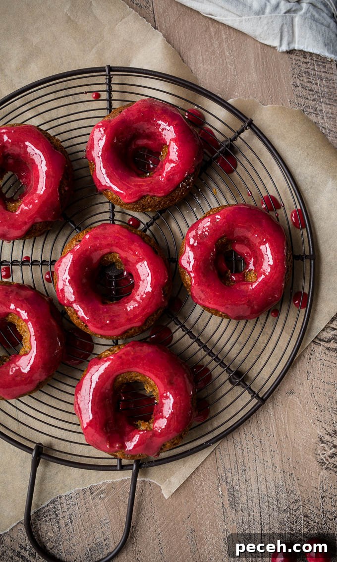 Gingerbread Cake Donuts with Cranberry Glaze (gluten-free, vegan) | saltedplains.com