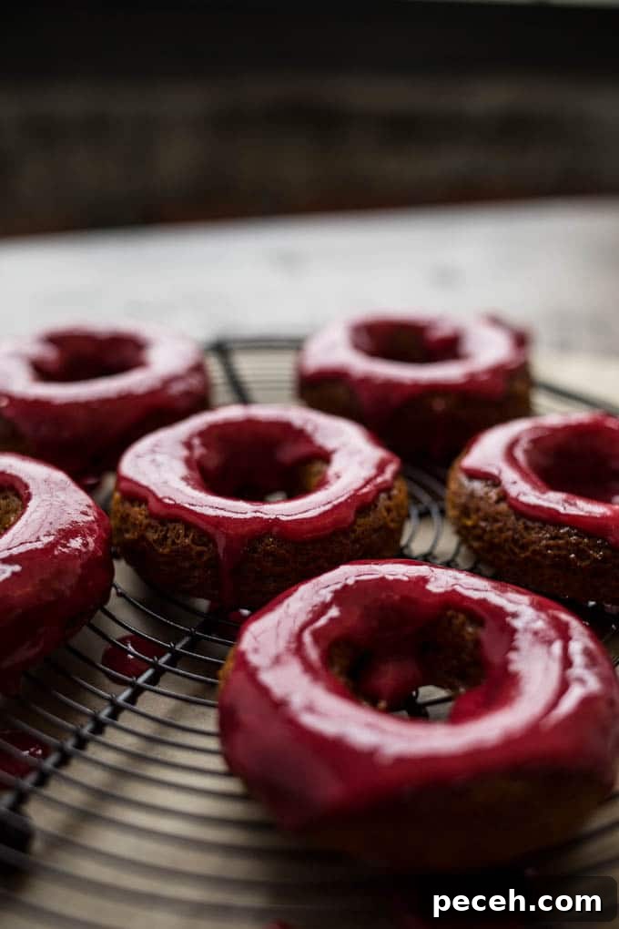 Gingerbread Donuts with Cranberry Glaze Recipe 8 Gingerbread Cake Donuts with Cranberry Glaze (gluten-free, vegan) | saltedplains.com