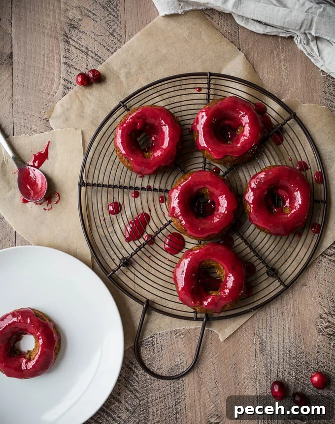 Gingerbread Donuts with Cranberry Glaze Recipe 9 Gingerbread Cake Donuts with Cranberry Glaze (gluten-free, vegan) | saltedplains.com
